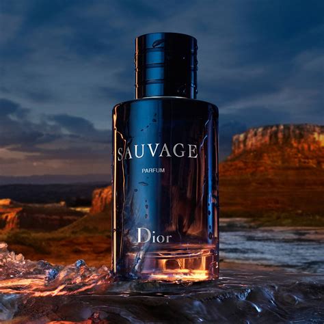 perfumy dior sauvage 100ml|Dior Sauvage perfumes e companhia.